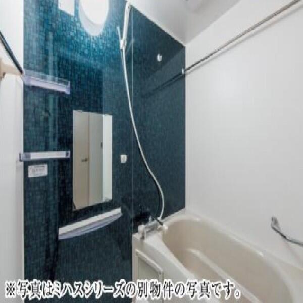 同タイプの写真となります